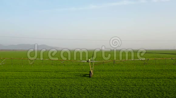 用灌溉系统飞越一片绿色的谷物田视频的预览图