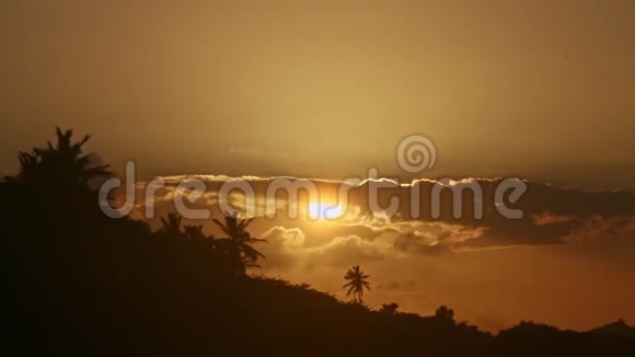 黄色的大太阳落在云层后面棕榈树在海滨形成剪影视频的预览图