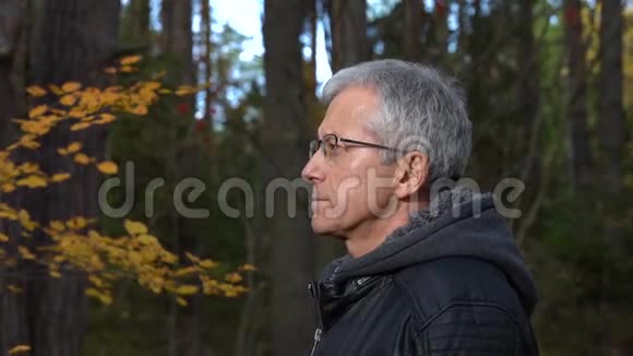 下午一个头发花白戴着眼镜的苗条英俊的男子沿着森林小径在松树和视频的预览图