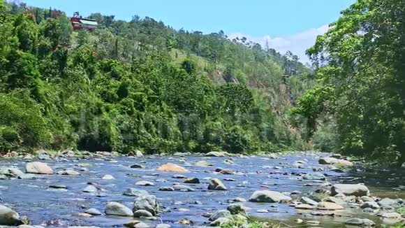 宽阔的山溪大石急流环绕着新鲜的绿色植物视频的预览图