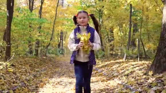小女孩在阳光明媚的秋天公园跑步扔树叶视频的预览图