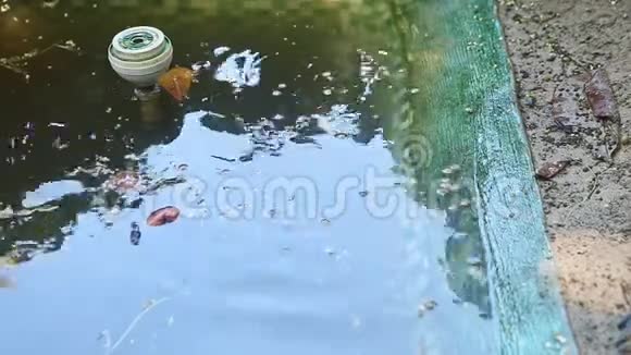 在手工制作的绿色池塘里游泳的许多水龟的特写镜头视频的预览图