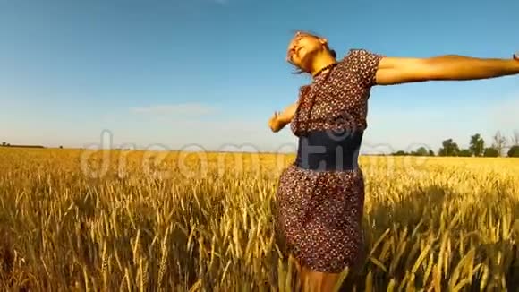 穿着短裙的女孩在黄色麦田的蓝天中露出了脸和手视频的预览图