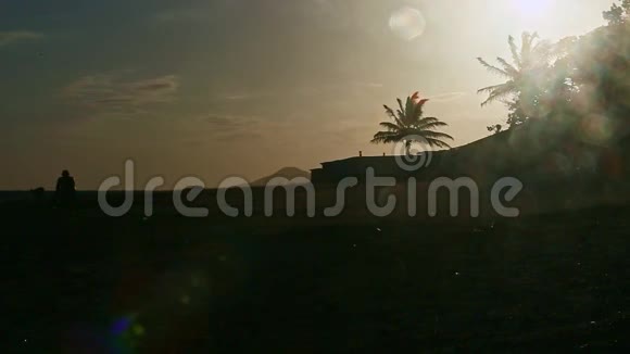强风摇动椰子棕榈叶的轮廓阳光明媚视频的预览图