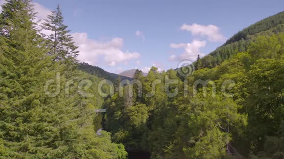 松树高地森林苏格兰珀斯郡英国视频的预览图