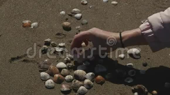 女人的手摘贝壳视频的预览图