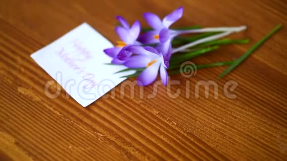 春紫番红花在木桌上视频的预览图