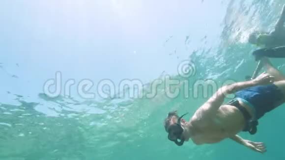 青年男女戴着浮潜面具在蓝海中游泳水下观景男人和女人一起潜水视频的预览图