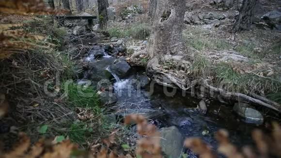 山河上的瀑布岸边有黑色的石头视频的预览图
