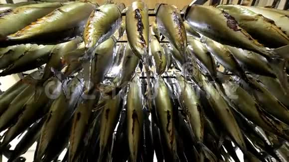 鱼挂熏制工厂排准备好视频的预览图