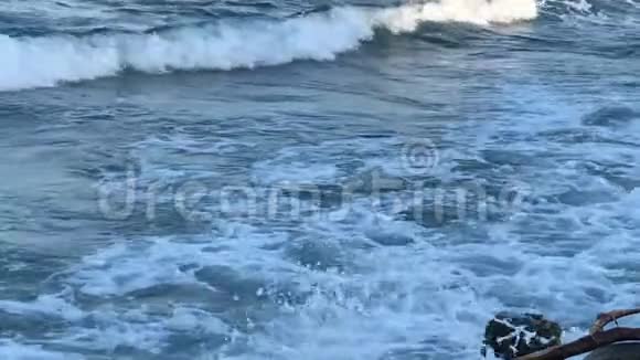 马尔代夫马累印度洋景观视频的预览图