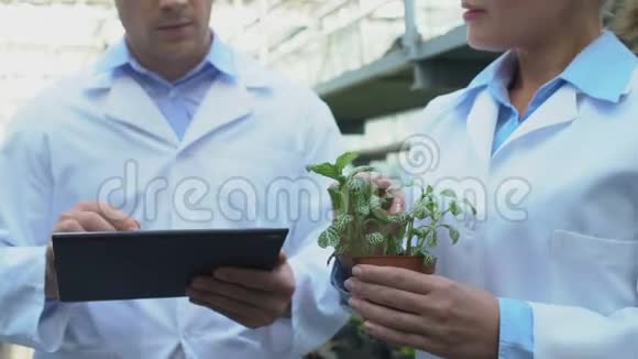 农业专家分析生长植物的平板电脑打字信息视频的预览图
