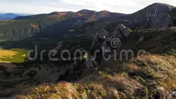 从喀尔巴阡山森林秋季自然公园顶部俯瞰视频的预览图