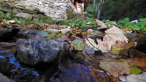一条小溪冲破石头和落叶视频的预览图