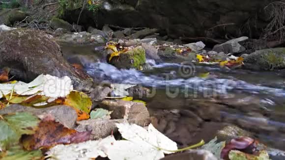 一条从山上下来的正在增强力量的小溪视频的预览图