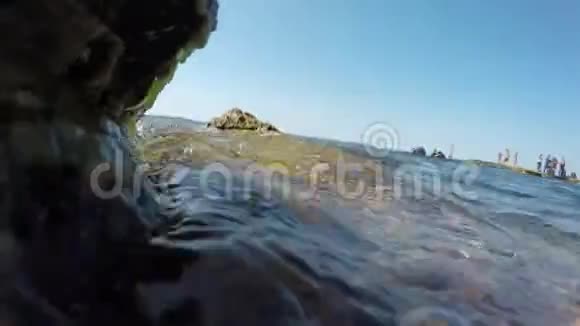 克里米亚的塔克汉库特角把海草放在岩石上从海水中观看视频的预览图