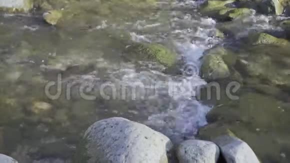 一条山河流过石头视频的预览图