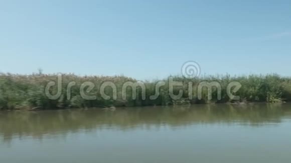 河流干芦苇的景色从快速航行的帆船侧面看地平线视频的预览图