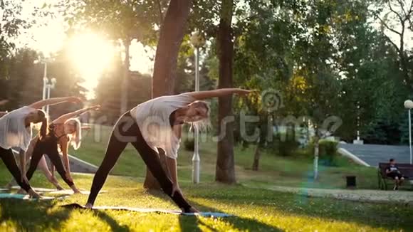 一群年轻女性在日出时在公园晨练手臂弯曲视频的预览图