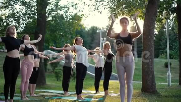 一群年轻的女人站在公园里日出时摆出一副姿势视频的预览图