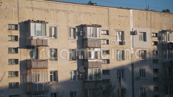 许多鸽子在一栋多层建筑的阳台上缓慢地飞翔和坐着视频的预览图