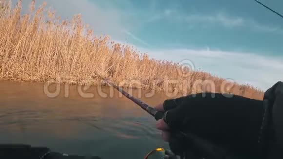 日落时分渔民在浓密的黄色芦苇丛附近从一艘船上旋转一条食肉鱼视频的预览图
