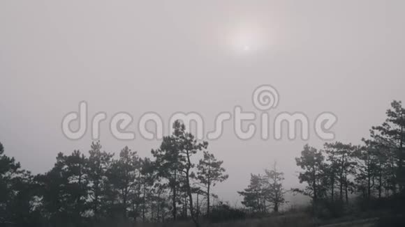 浓雾笼罩着山林太阳几乎看不见视频的预览图