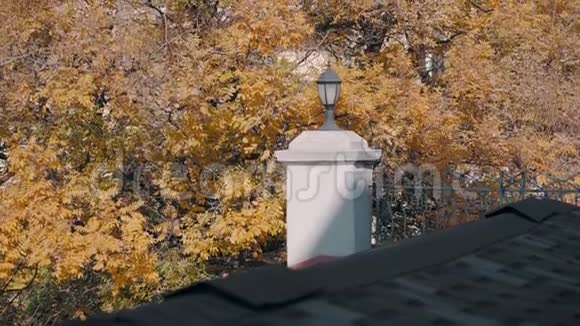 屋顶上的灯笼是黄色叶子的背景视频的预览图