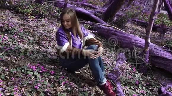 紫罗兰童话森林穿着淡紫色夹克的女孩坐在极地循环中在一片美丽的淡紫色森林里审视她们视频的预览图