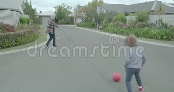 一位老妇人和她的孙子玩球视频的预览图
