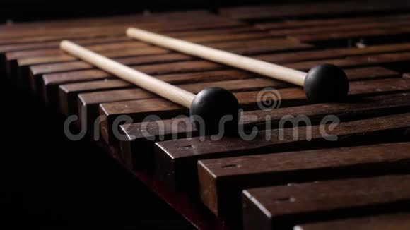 男音乐家演奏木琴或马林巴视频的预览图