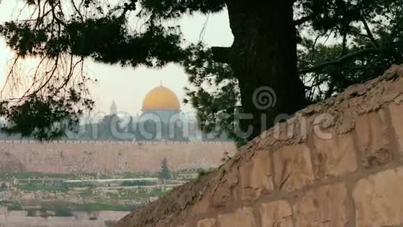 在五彩缤纷的日落中透过一棵树俯瞰耶路撒冷古城和圣殿山的全景视频的预览图