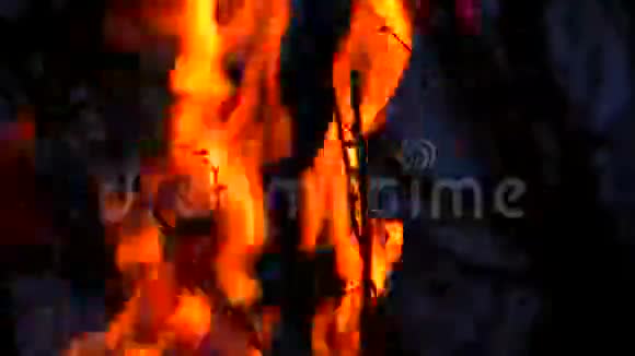 森林大火燃烧在植被上视频的预览图