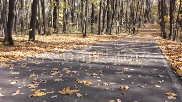 一个人爬上一条长板上坡在铺有树叶的沥青上爬视频的预览图