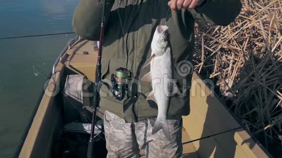 渔夫展示了捕捉到的捕食性Asp鱼视频的预览图