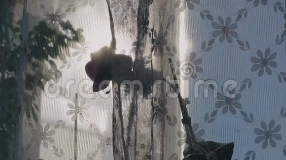 窗帘后面的窗台上的紫兰花在阳光下溅满了水视频的预览图