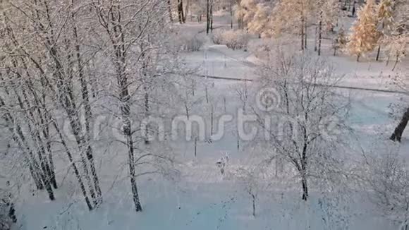 飞越冬季森林和郊区视频的预览图