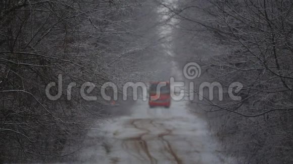 校车穿越冬林视频的预览图