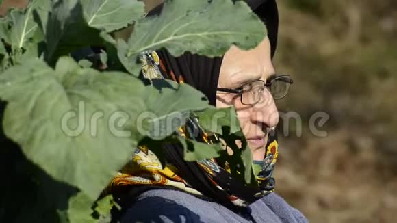 一位年长的穆斯林妇女被新鲜的绿色卷心菜叶包围的特写肖像视频的预览图