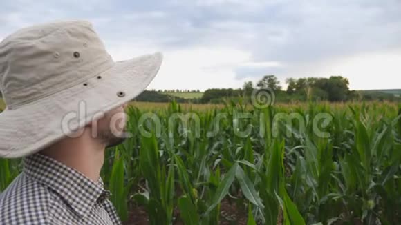 站在玉米地里用手指着大农场的男农年轻的认真工作者视频的预览图