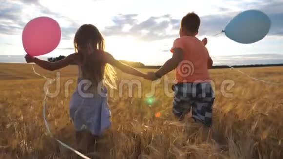 金发小女孩和红发男孩手牵手穿过麦田几个小孩视频的预览图