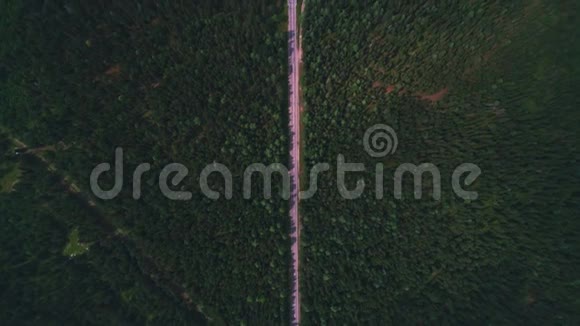 在一个阳光明媚的夏天空中深色的汽车沿着沥青路穿过广阔的森林视频的预览图