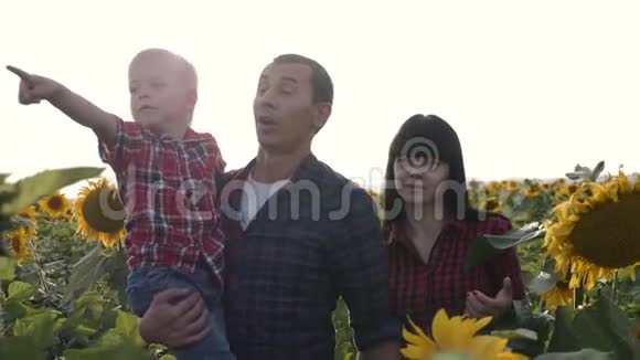 幸福的一家人和向日葵一起在田野里散步一起享受生活在户外携手并进他父亲抱着他视频的预览图