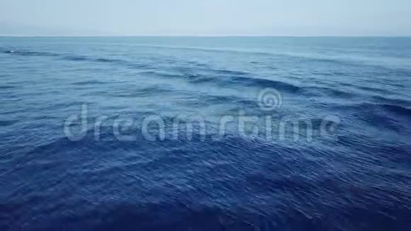 条纹海豚跳跃空中镜头视频的预览图