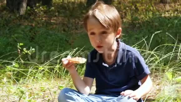 一个小男孩坐在公园的草地上吃披萨视频的预览图