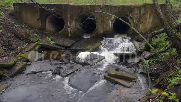 在一条有自来水的森林道路上由桥下的管道组成的河坝高清录像视频的预览图