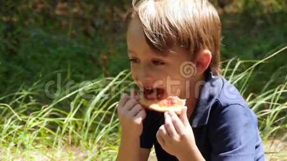 一个小男孩花时间在公园野餐孩子咬了一块披萨食物和休息视频的预览图