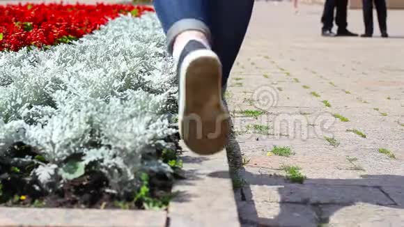 女人脚走在花坛附近的路边视频的预览图