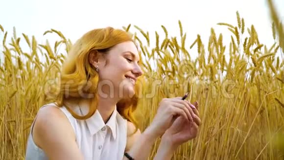 漂亮的红头发女人坐在麦田里玩麦穗视频的预览图
