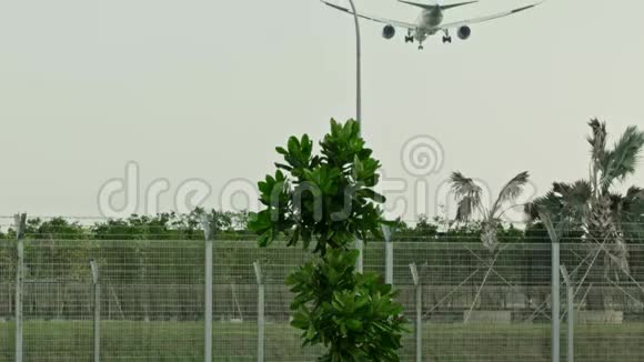 降落在樟宜机场视频的预览图